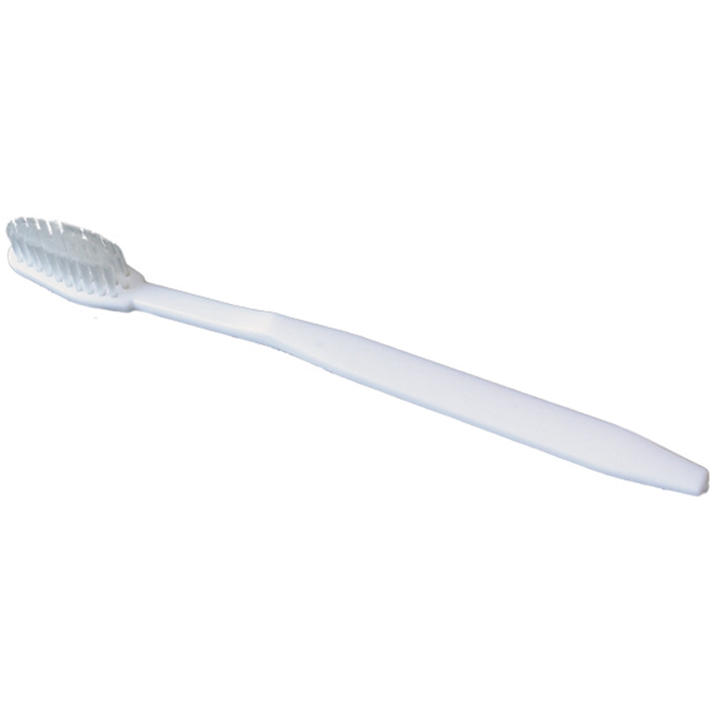 Freshmint Nylon Toothbrush, Various