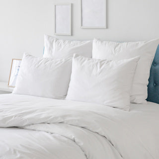 Microfiber Softwear Plus Collection