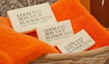 Good Day Bar Soap, Various