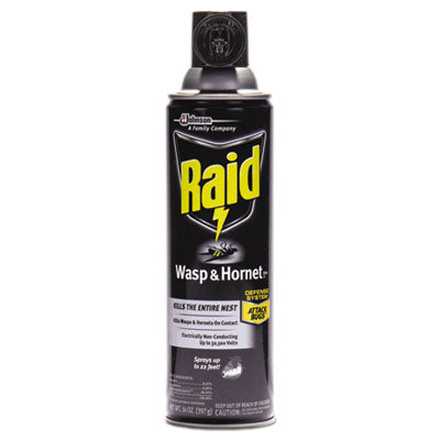 Raid Wasp and Hornet Killer, 14 oz Aerosol Spray, 12/Carton