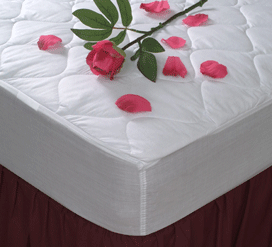 Quilted-Top Mattress Pad, Fitted, Various