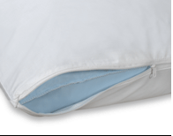 Pillow Protector, Various, 12 doz