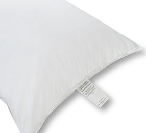 Pillow, Ultra Down, Various